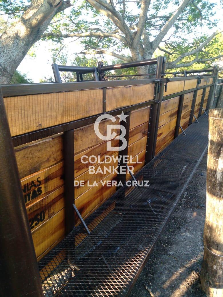 ALQUILER-EXCELENTE CAMPO GANADERIA DE CRIA - Principal