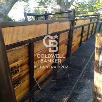 ALQUILER-EXCELENTE CAMPO GANADERIA DE CRIA