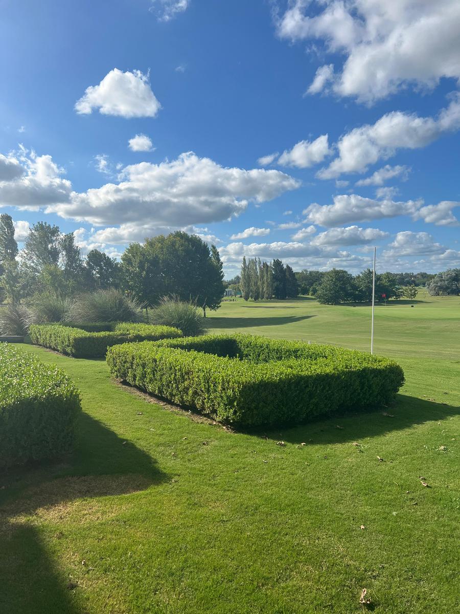 image 25