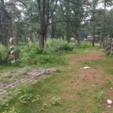 TERRENO CAMPESTRE CON CABAÑA EN VENTA, HUITZILAC MORELOS