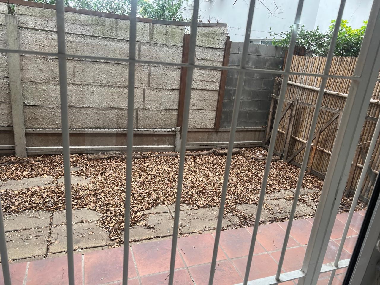 image 18