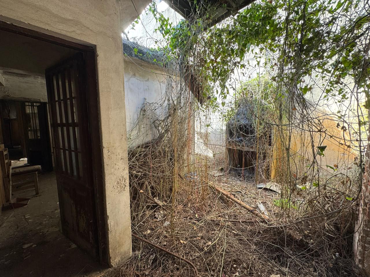 image 13