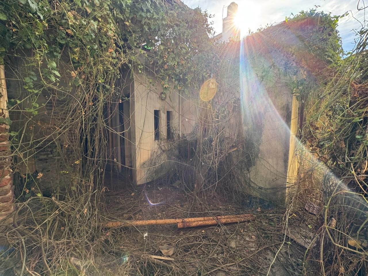image 14