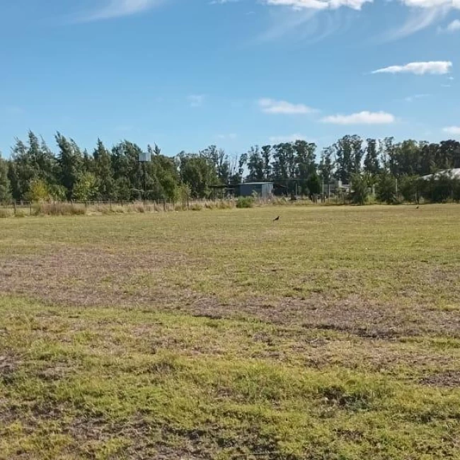 Terreno en San Andres De Giles venta