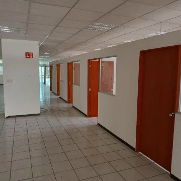 Oficinas en renta en Anáhuac