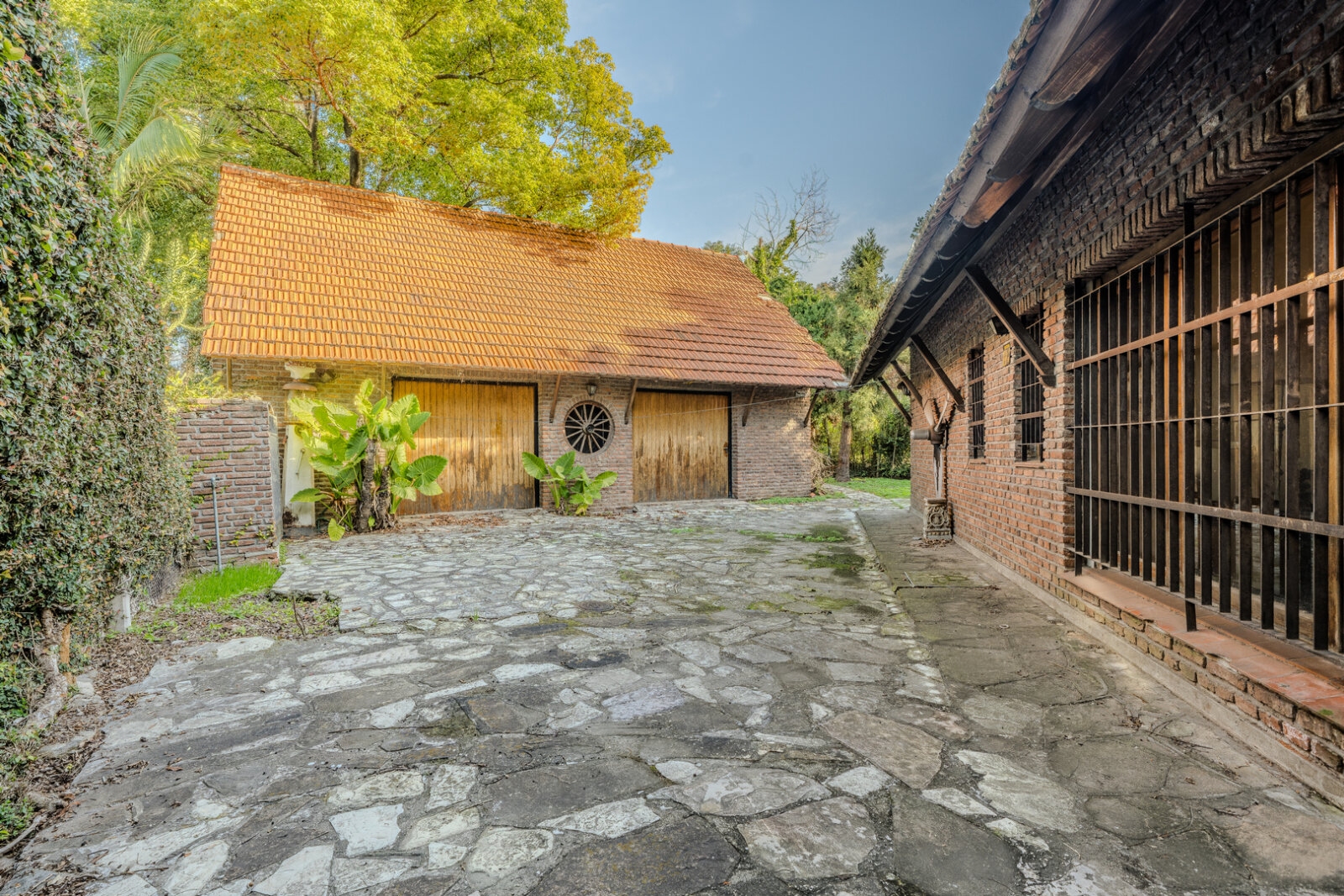 image 23