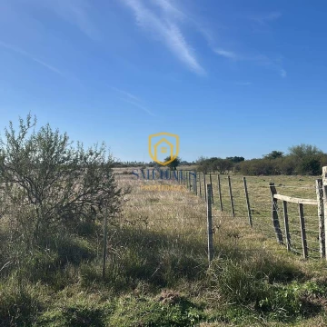 Chacra en venta en Santa Lucía con 3 Has