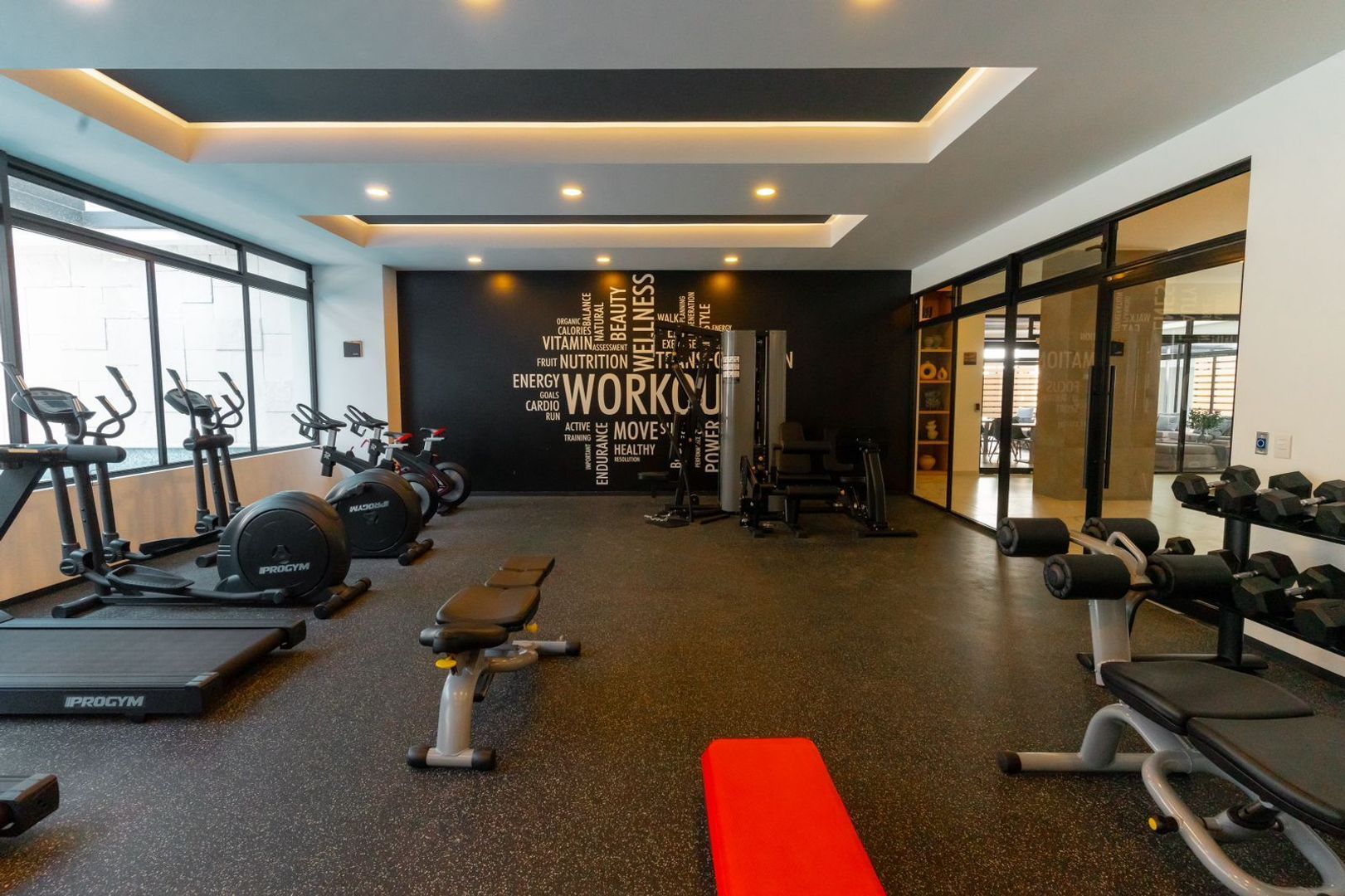 amores foto nueva gim.jpg