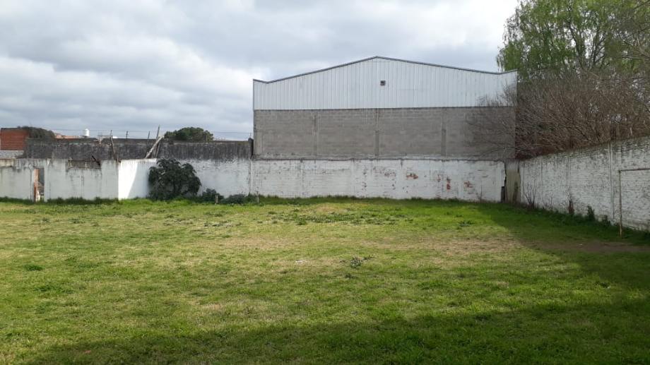 image 19