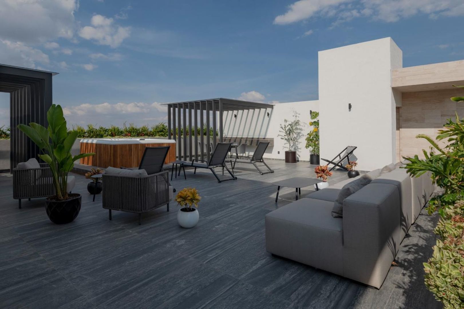 roof alfieri.jpg