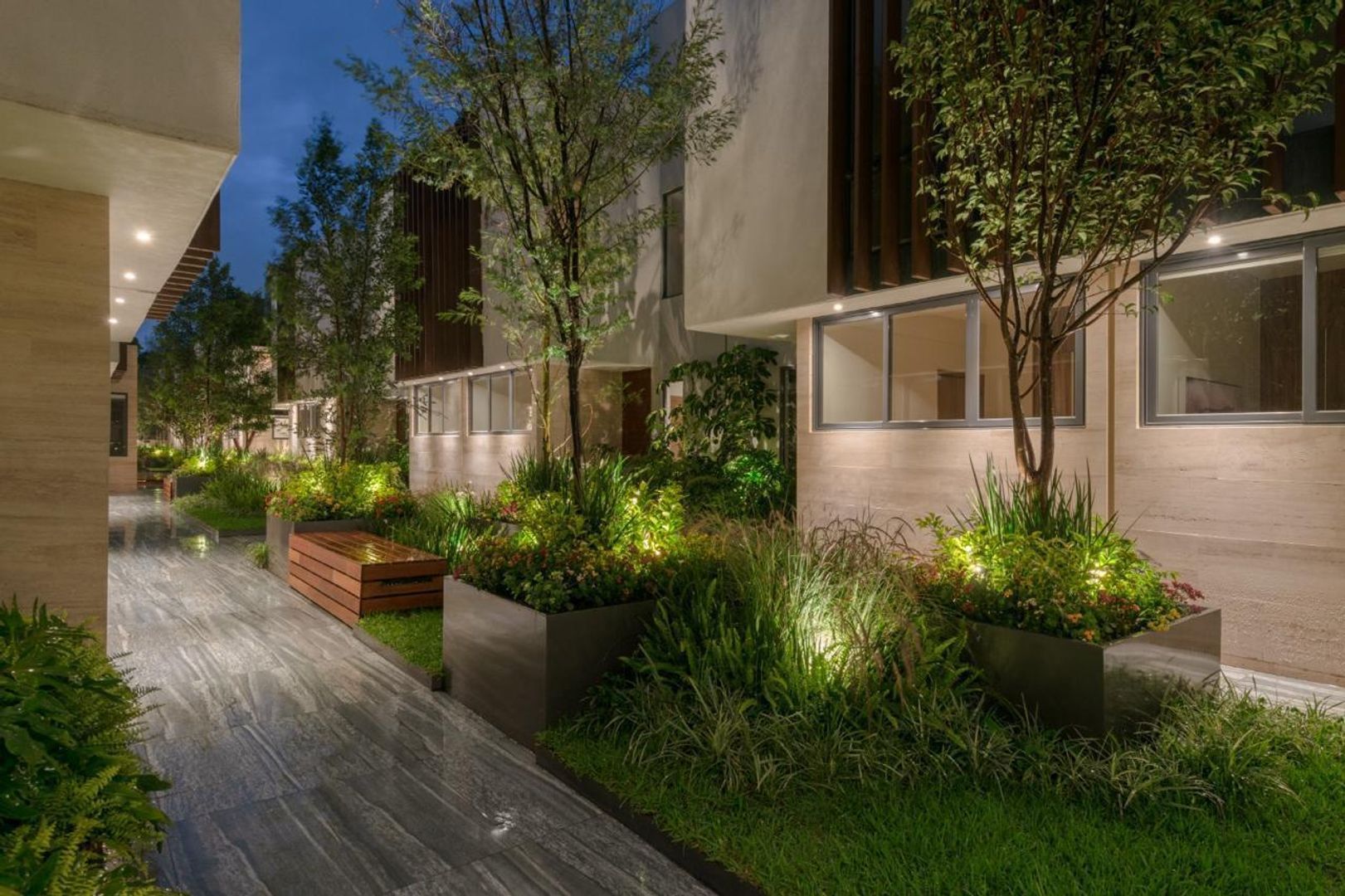 jardin noche.jpg