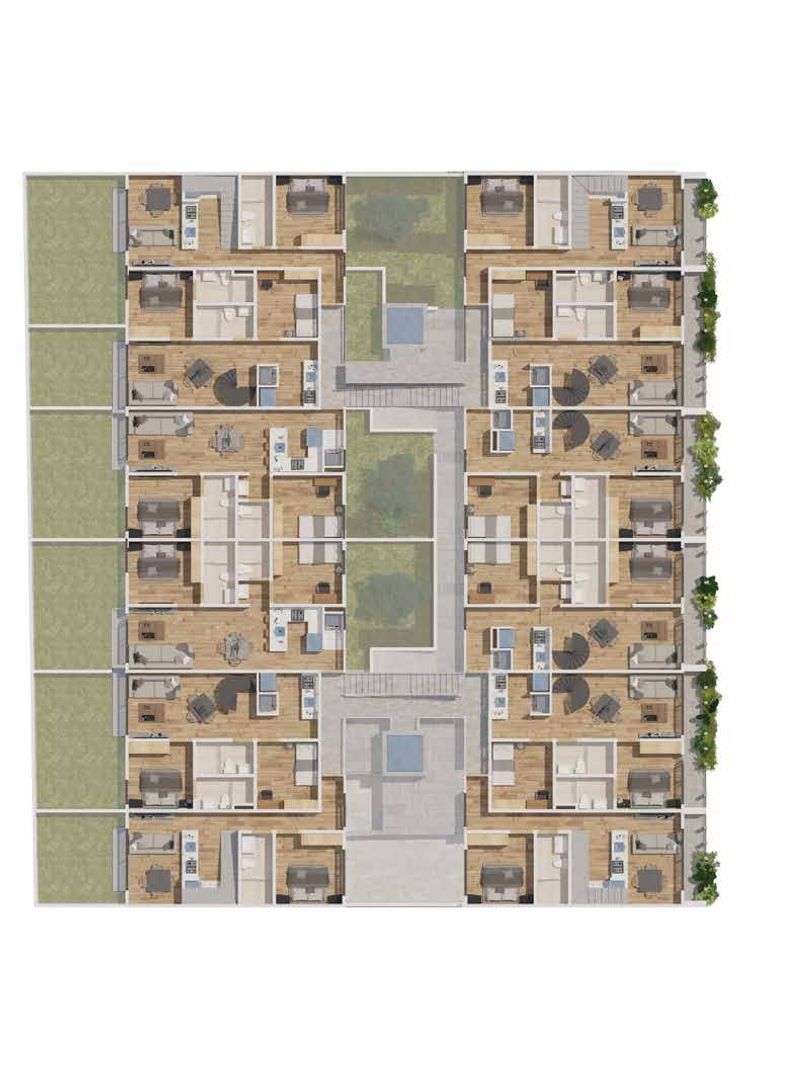plantas ph 502 bosques claveria.png