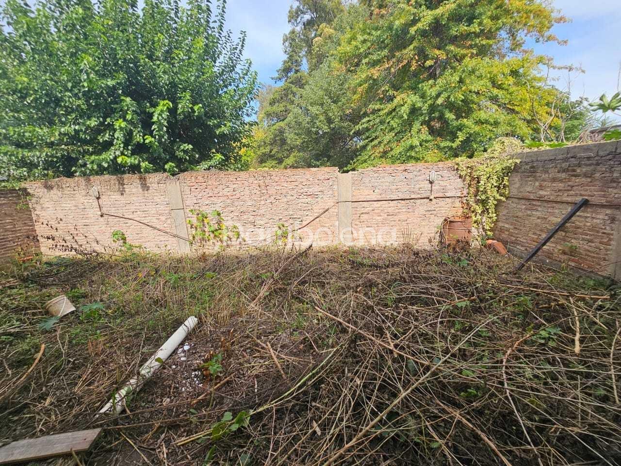 image 65