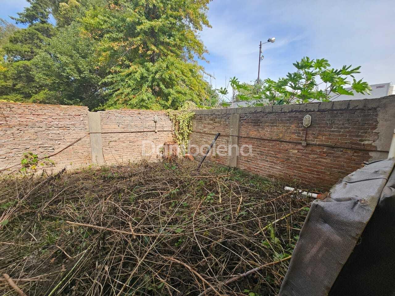 image 67