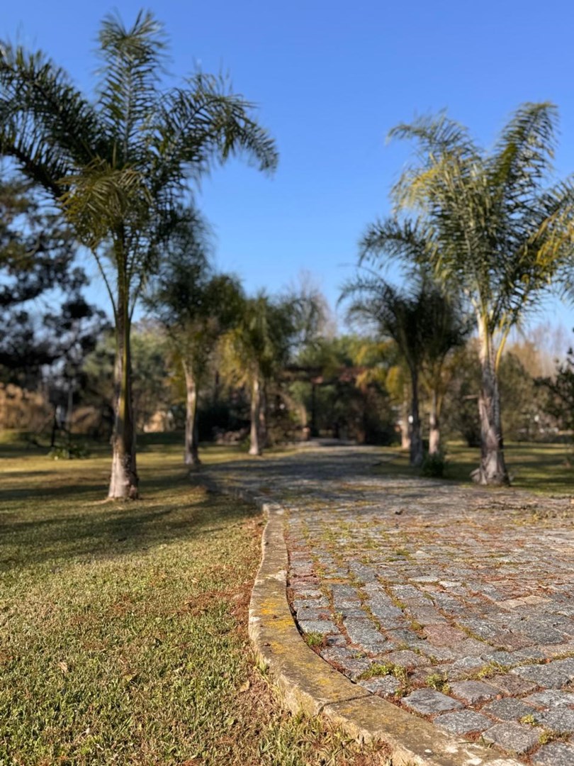image 31