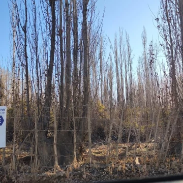 Terreno en Capital