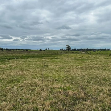 Campo en venta en San José de Mayo con 5 Has