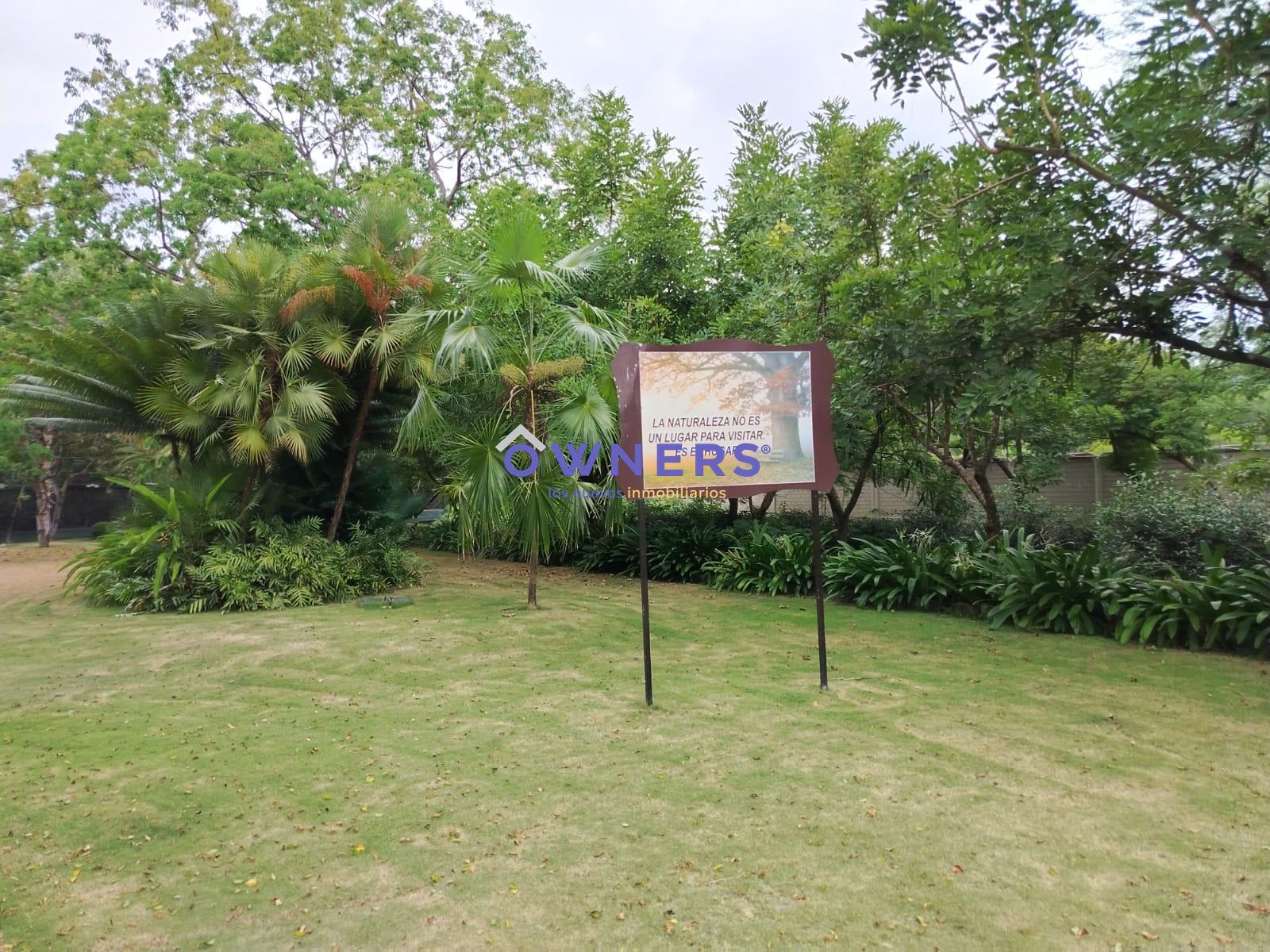 image 32