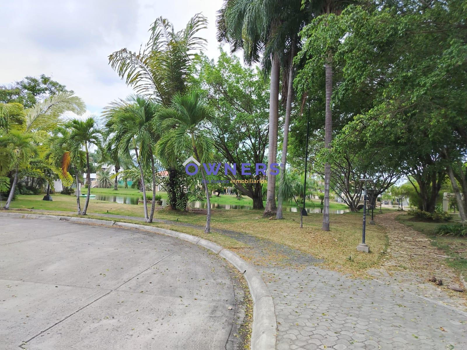 image 35