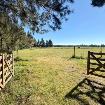 Oportunidad de inversion-Lote en VENTA O PERMUTA
