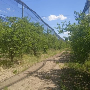 FINCA 10 HA RAMA CAIDA EXCELENTE UBICACION