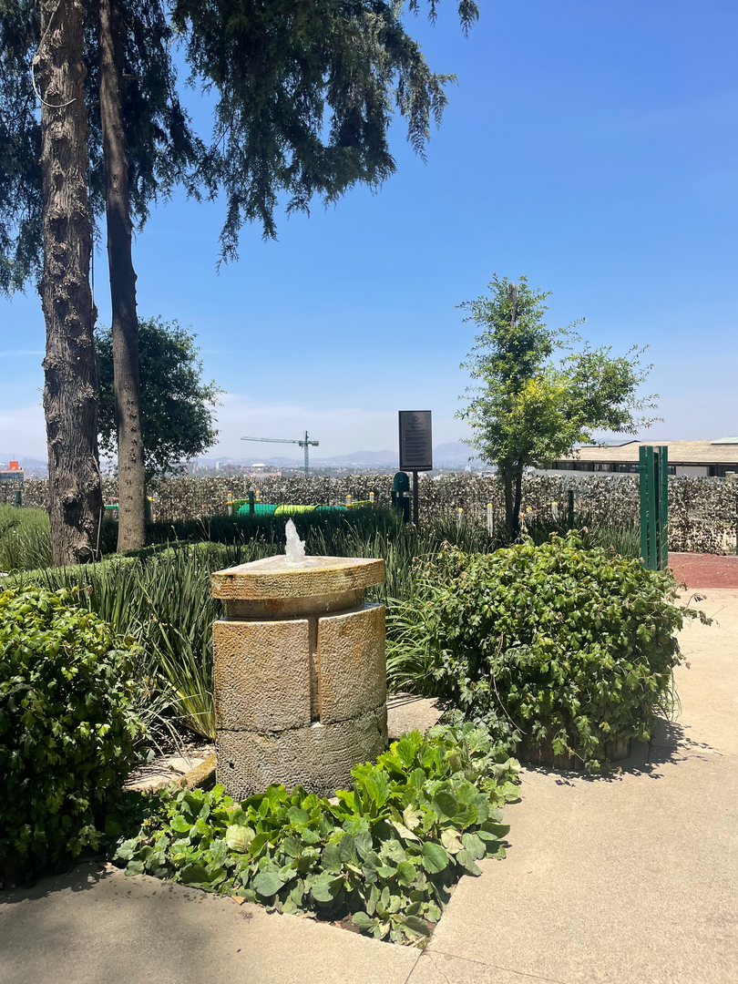 IMG_5163.jpeg