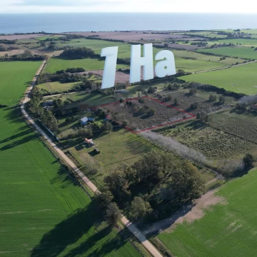 Chacra de 1 hectárea en venta en La Loma, San Pedro, Colonia del Sacramento