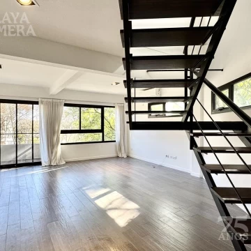 Departamento en venta dos dormitorios Isla de Olivos con terraza