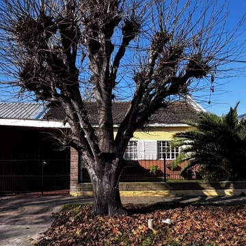 Casa de 2 dormitorios en Barrio Jardín, La Plata