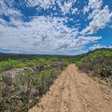 Venta ,Campo 178 HA en Salsacate ,Traslasierra