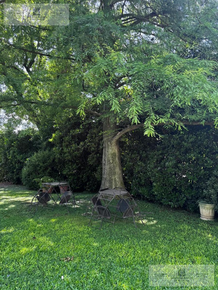 image 32