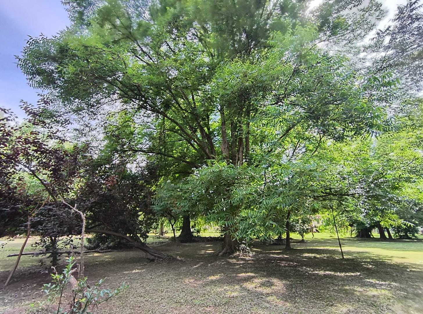 image 18