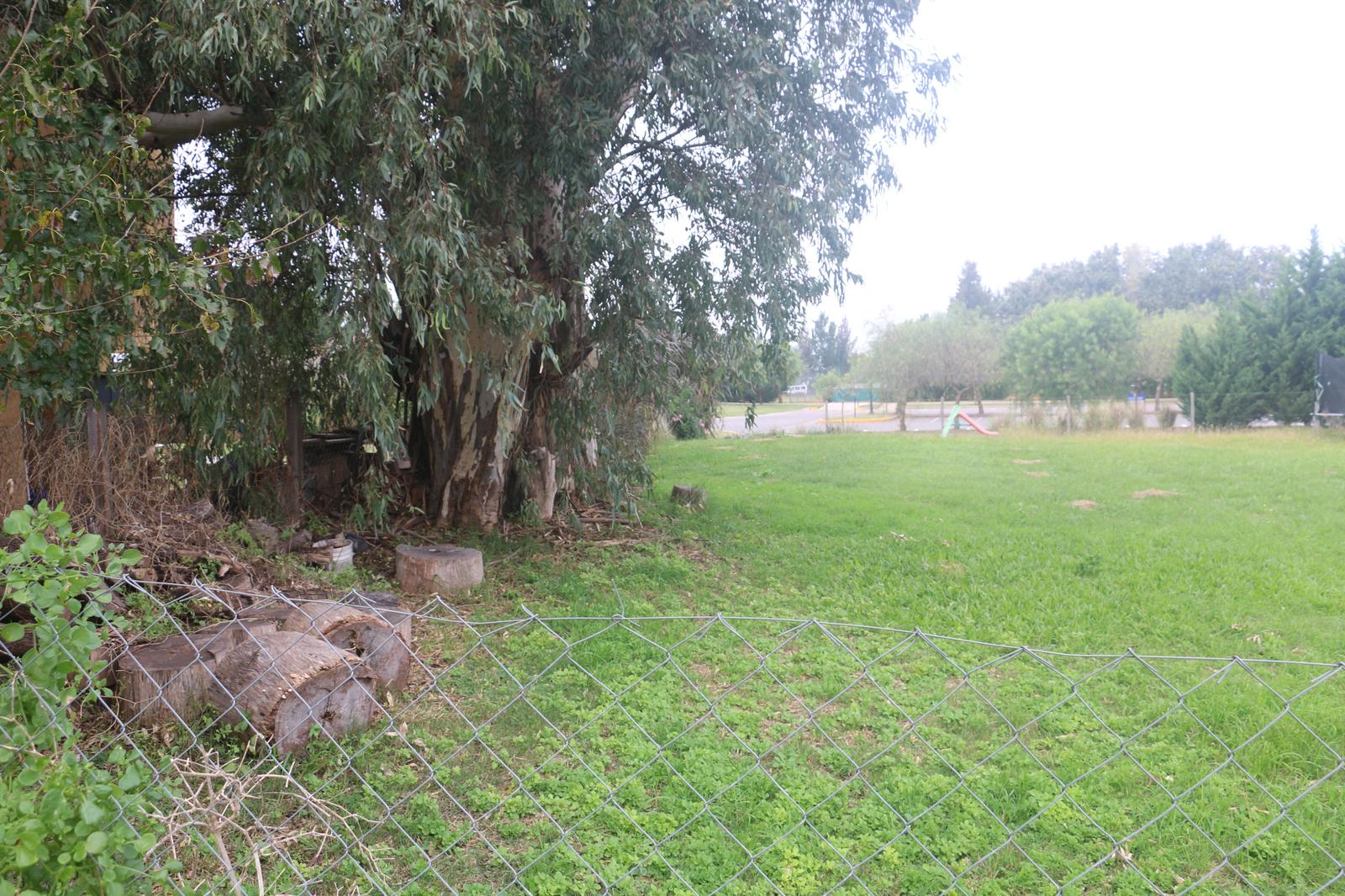 image 18