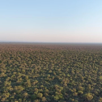 Campo GANADERO APICOLA  Tulumba CORDOBA