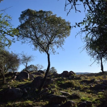 Venta lote en La Granja 2800 mts con 60 mts de costa de río! 