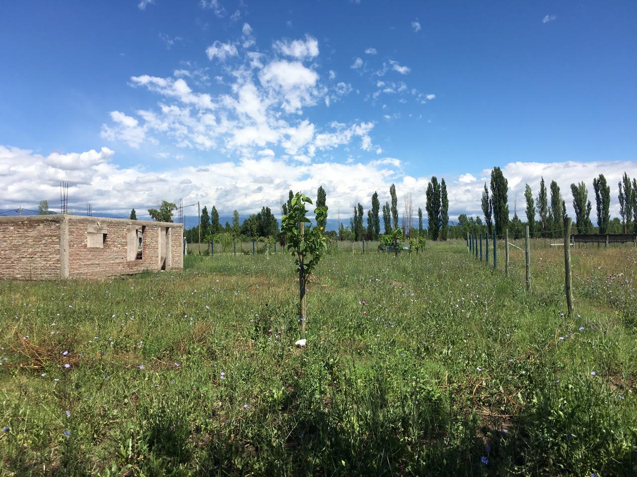 image 14
