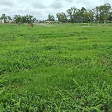 Venta Lote - Terreno - Santa SOFIA - Pilar del Este -Pilar