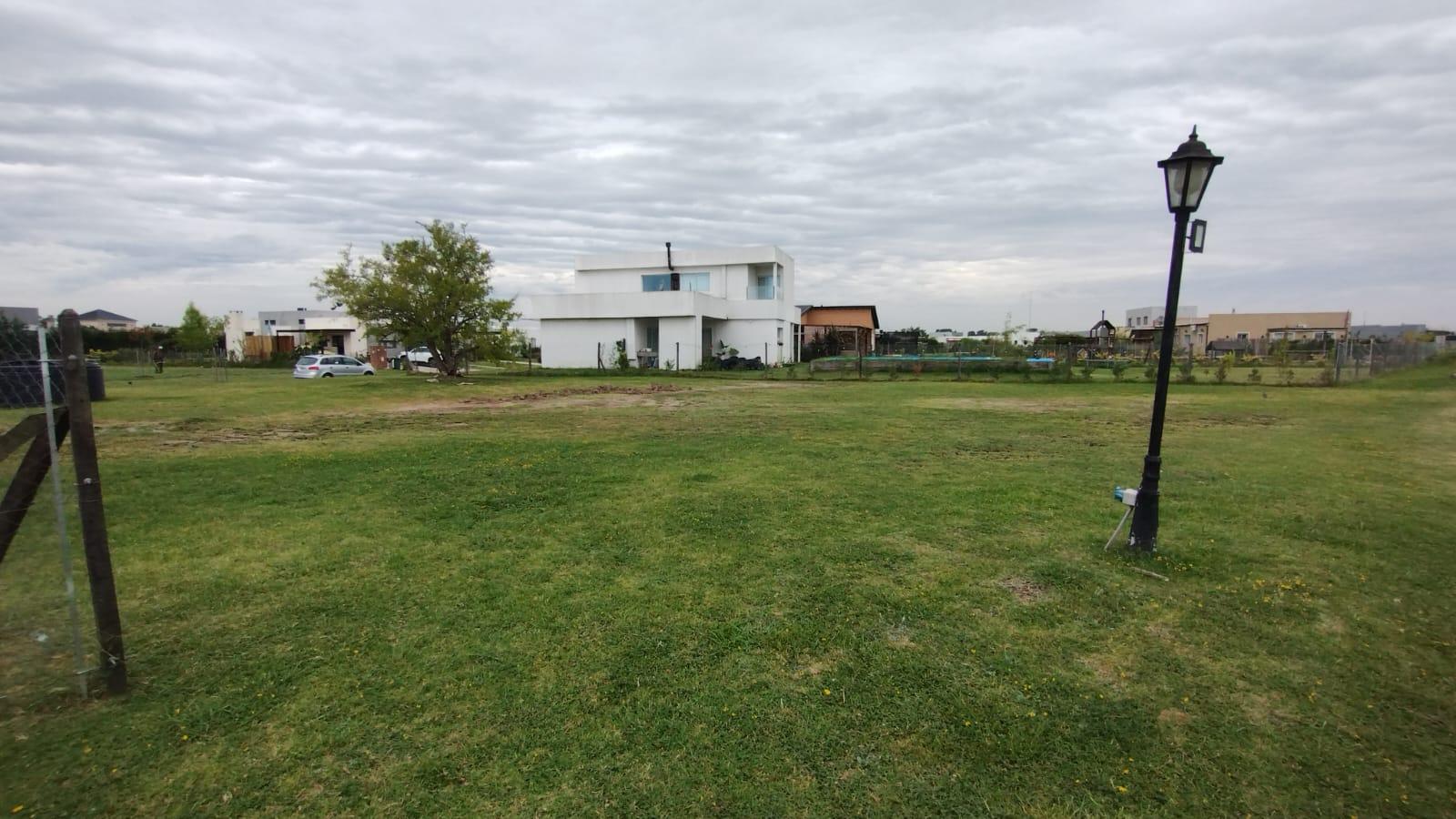 Lote