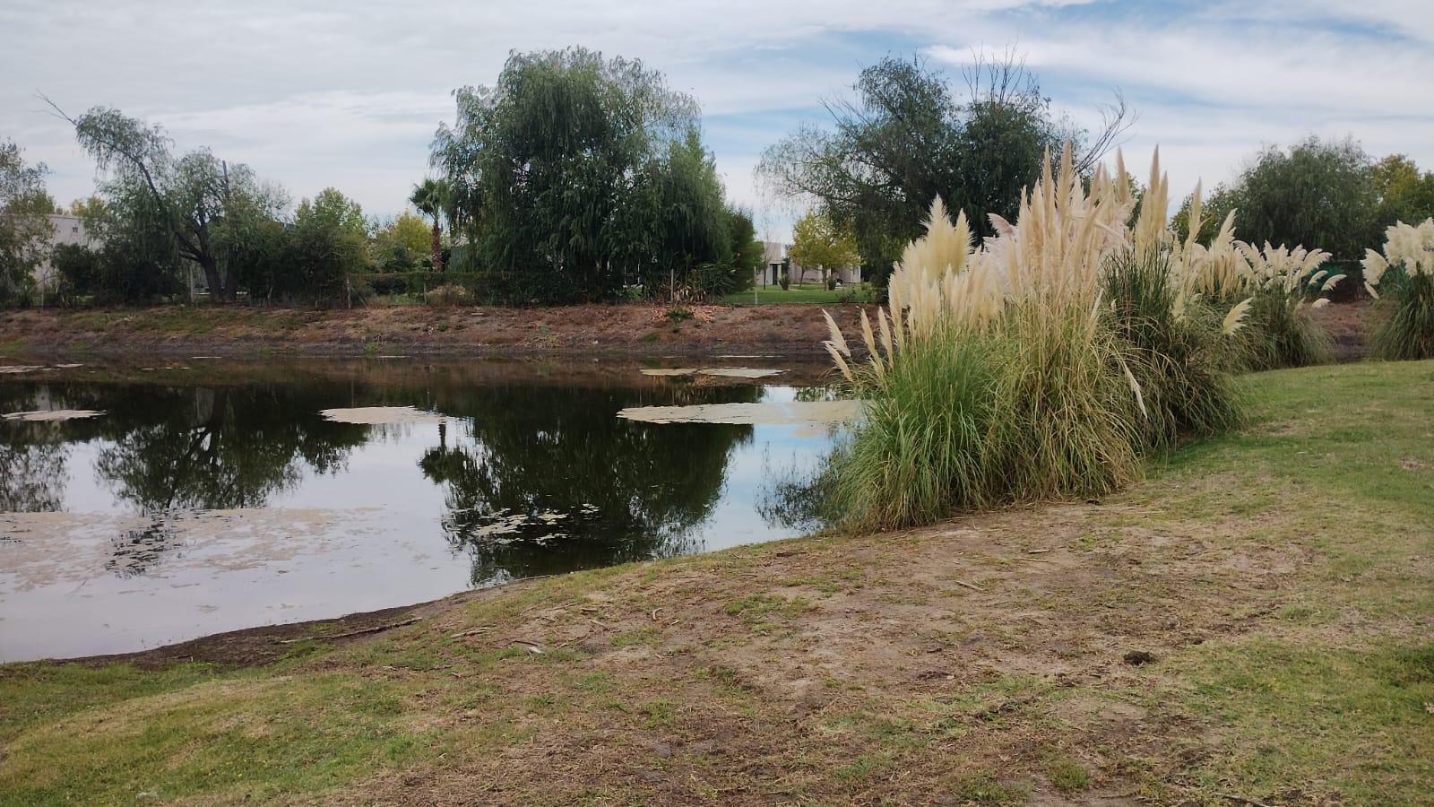 Vista hacia una pequeña laguna