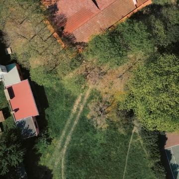 1782425815.jpg