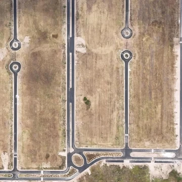 1782425872.jpg