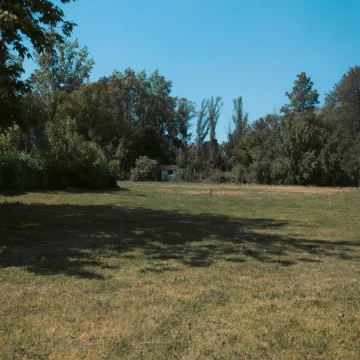 1782425974.jpg