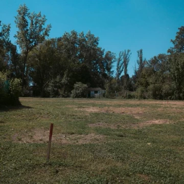 1782425978.jpg