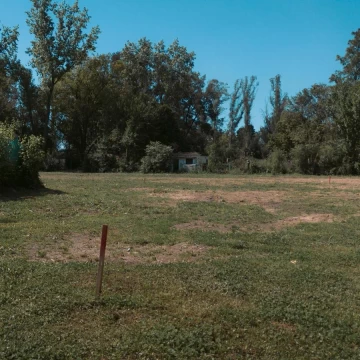 1782425980.jpg