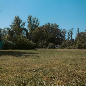 1782425983.jpg