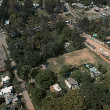 1782425986.jpg