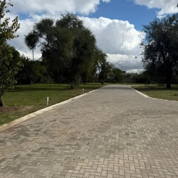 1782426008.jpg