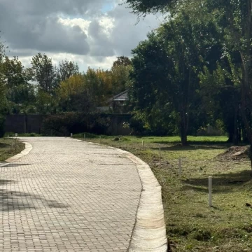 1782426011.jpg