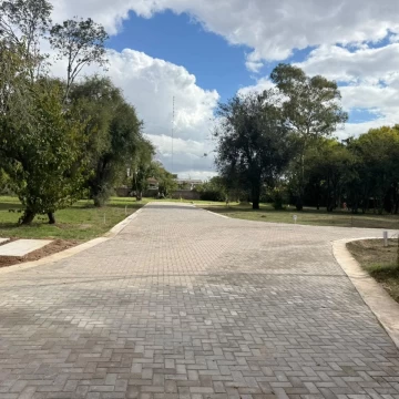 1782426014.jpg