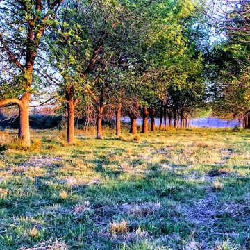 Lote Reventa - El Paso, Pilar